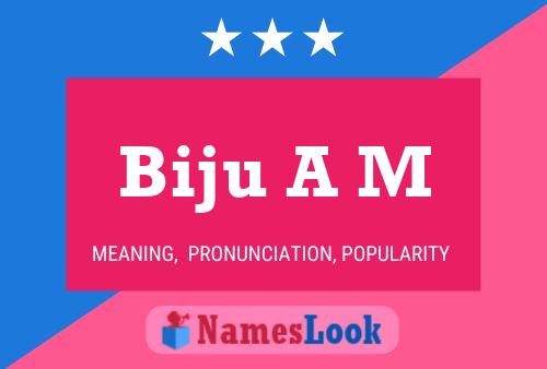 Biju A M Naam Poster