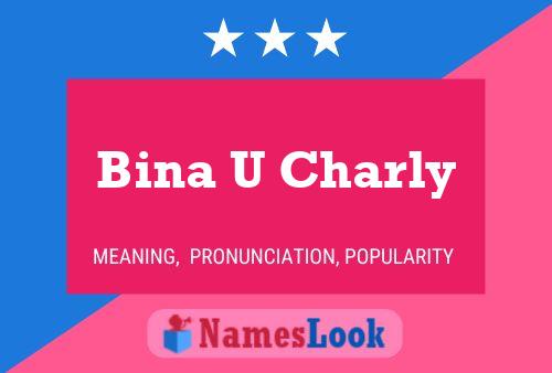 Bina U Charly Naam Poster