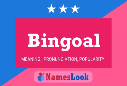 Bingoal Naam Poster