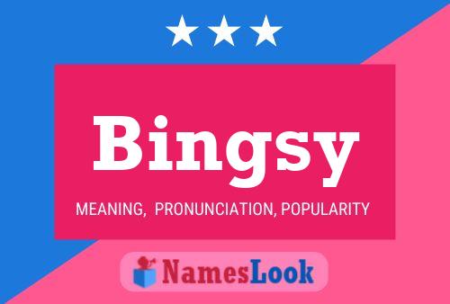 Bingsy Naam Poster