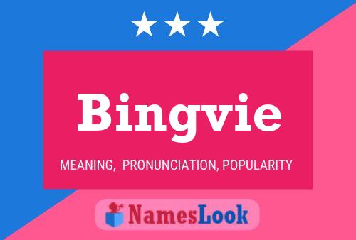 Bingvie Naam Poster