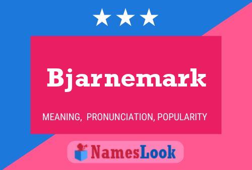 Bjarnemark Naam Poster