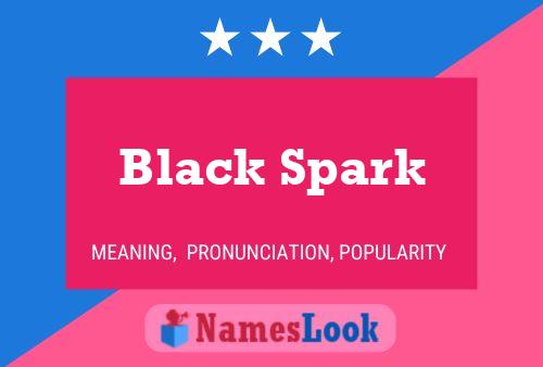 Black Spark Naam Poster