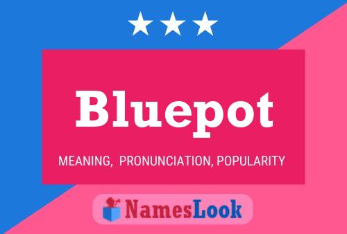 Bluepot Naam Poster