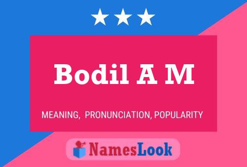 Bodil A M Naam Poster