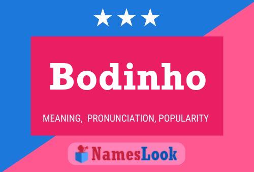 Bodinho Naam Poster