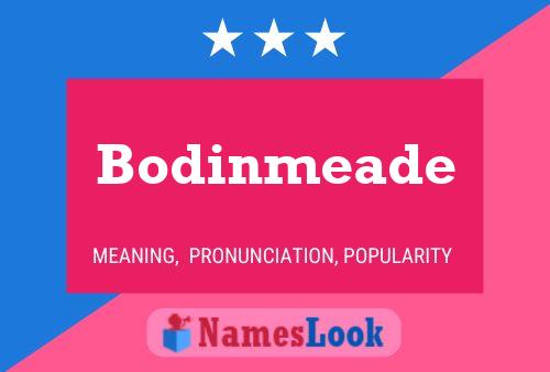 Bodinmeade Naam Poster