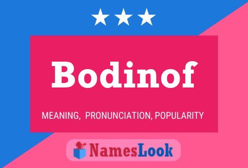 Bodinof Naam Poster