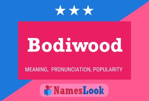 Bodiwood Naam Poster