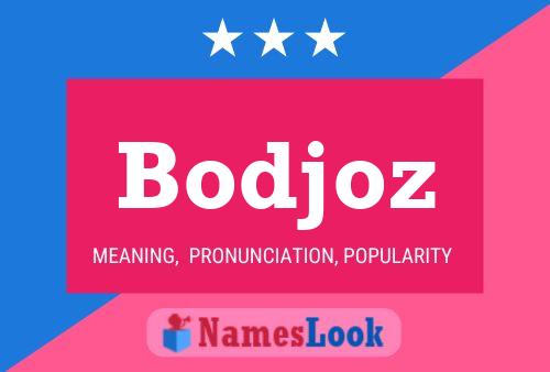 Bodjoz Naam Poster