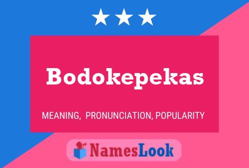 Bodokepekas Naam Poster