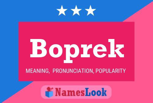 Boprek Naam Poster