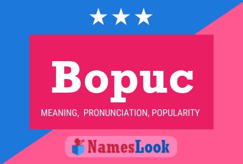 Bopuc Naam Poster