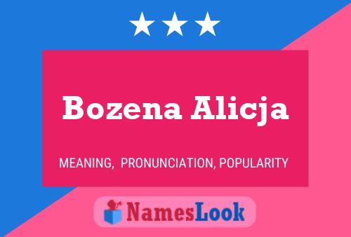 Bozena Alicja Naam Poster