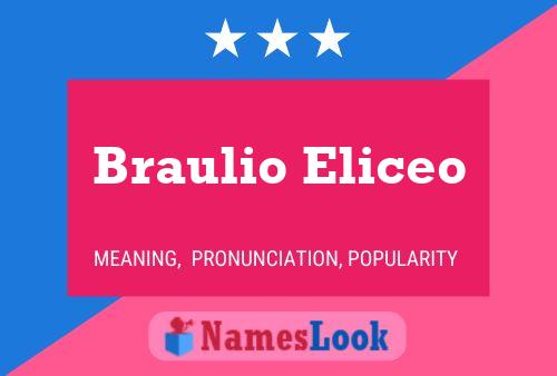 Braulio Eliceo Naam Poster