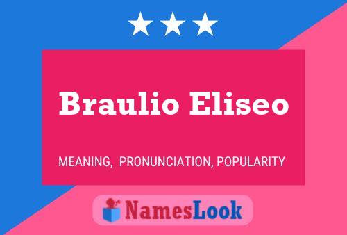 Braulio Eliseo Naam Poster