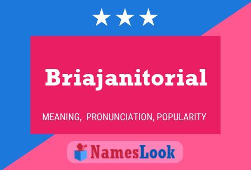 Briajanitorial Naam Poster