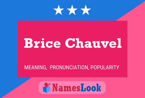 Brice Chauvel Naam Poster