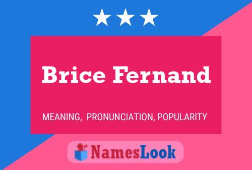 Brice Fernand Naam Poster