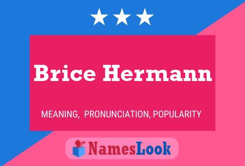 Brice Hermann Naam Poster