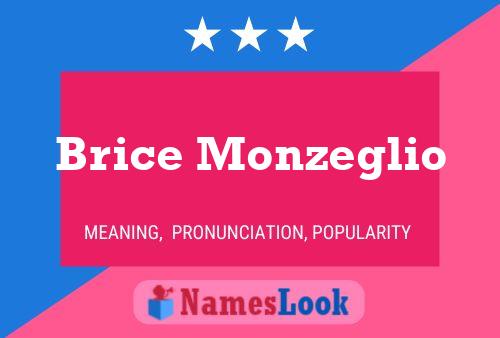 Brice Monzeglio Naam Poster