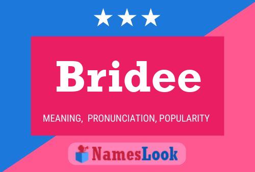 Bridee Naam Poster