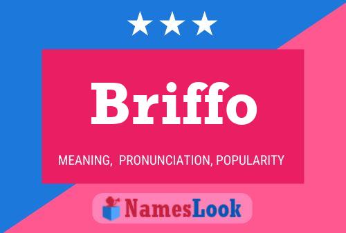 Briffo Naam Poster