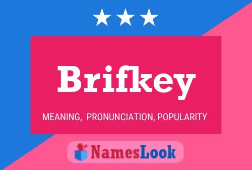 Brifkey Naam Poster