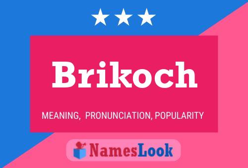 Brikoch Naam Poster