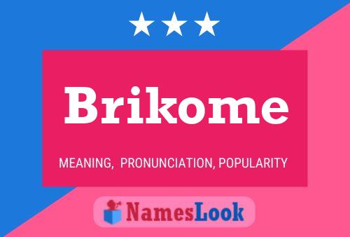 Brikome Naam Poster