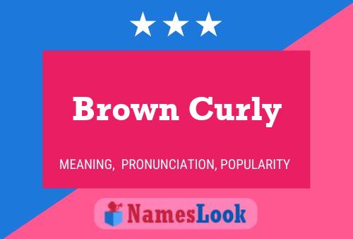 Brown Curly Naam Poster