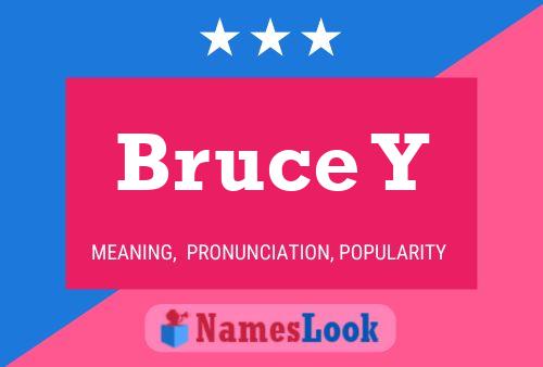 Bruce Y Naam Poster