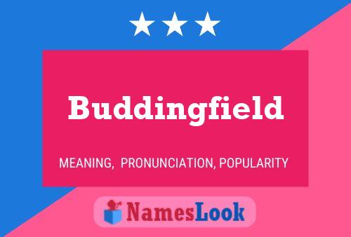 Buddingfield Naam Poster