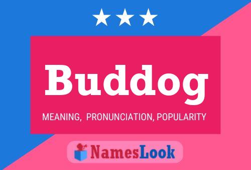 Buddog Naam Poster