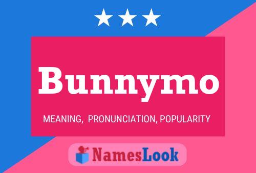 Bunnymo Naam Poster