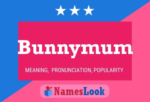 Bunnymum Naam Poster