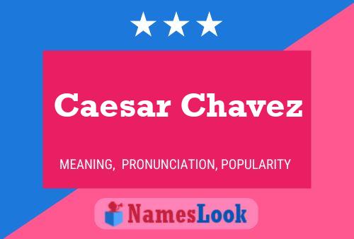 Caesar Chavez Naam Poster