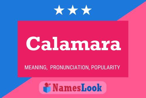 Calamara Naam Poster