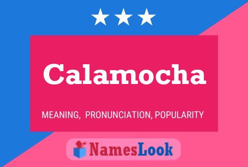 Calamocha Naam Poster