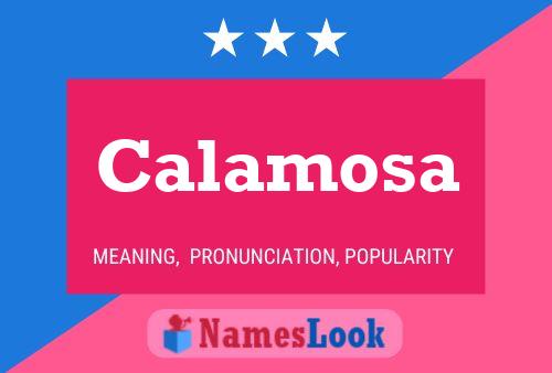 Calamosa Naam Poster