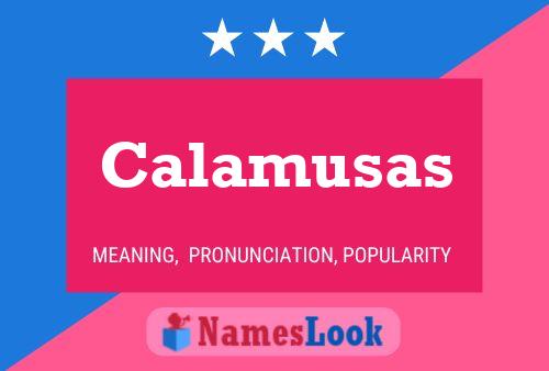 Calamusas Naam Poster