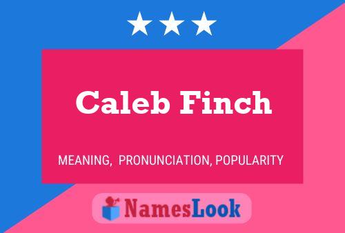 Caleb Finch Naam Poster