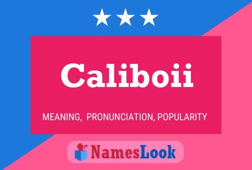 Caliboii Naam Poster