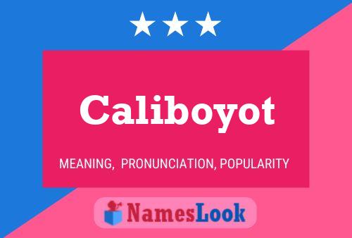 Caliboyot Naam Poster