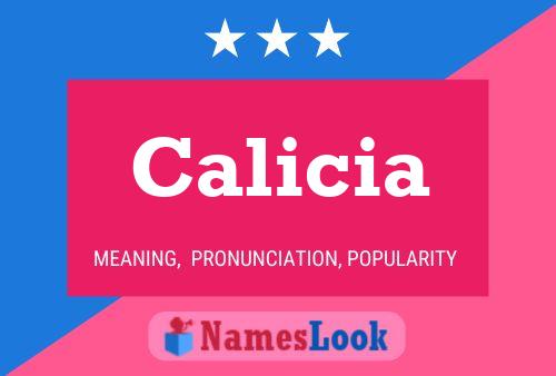 Calicia Naam Poster