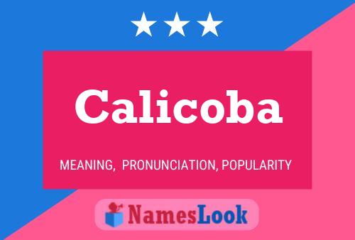 Calicoba Naam Poster