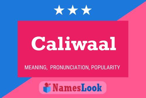 Caliwaal Naam Poster