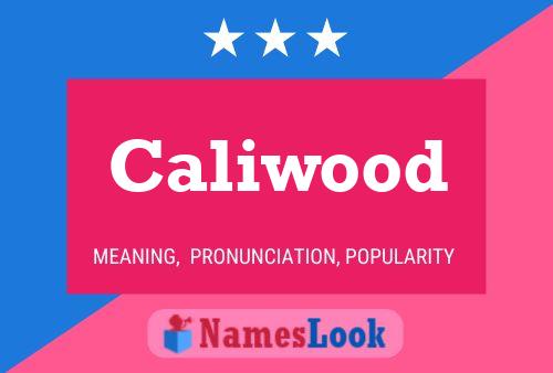 Caliwood Naam Poster