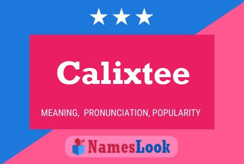 Calixtee Naam Poster