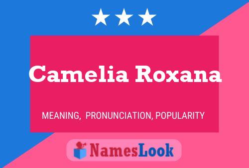 Camelia Roxana Naam Poster